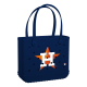 Baby_Houston-Astros_A.png